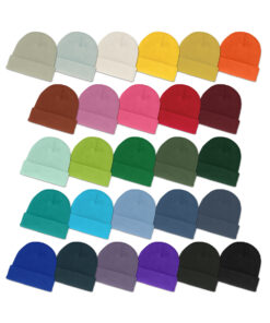 Everest Beanie
